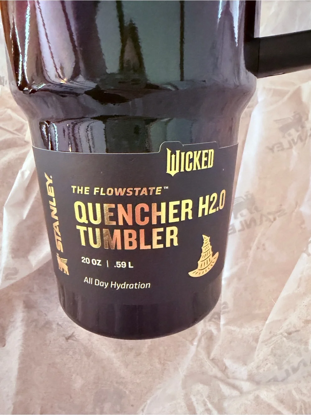 Stanley Wicked Quencher H2.0 Tumbler - 20 oz Elphaba